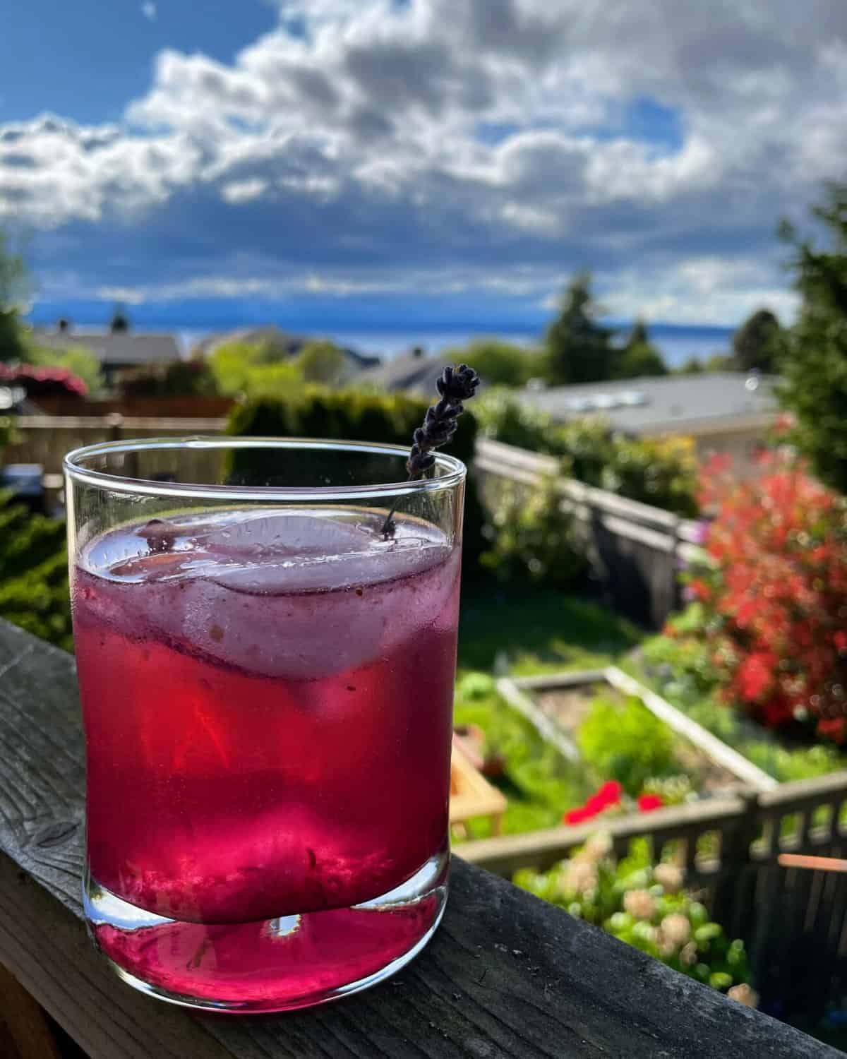 red purple drink in a lowball glass with ice on a railing overlooking a back yard.