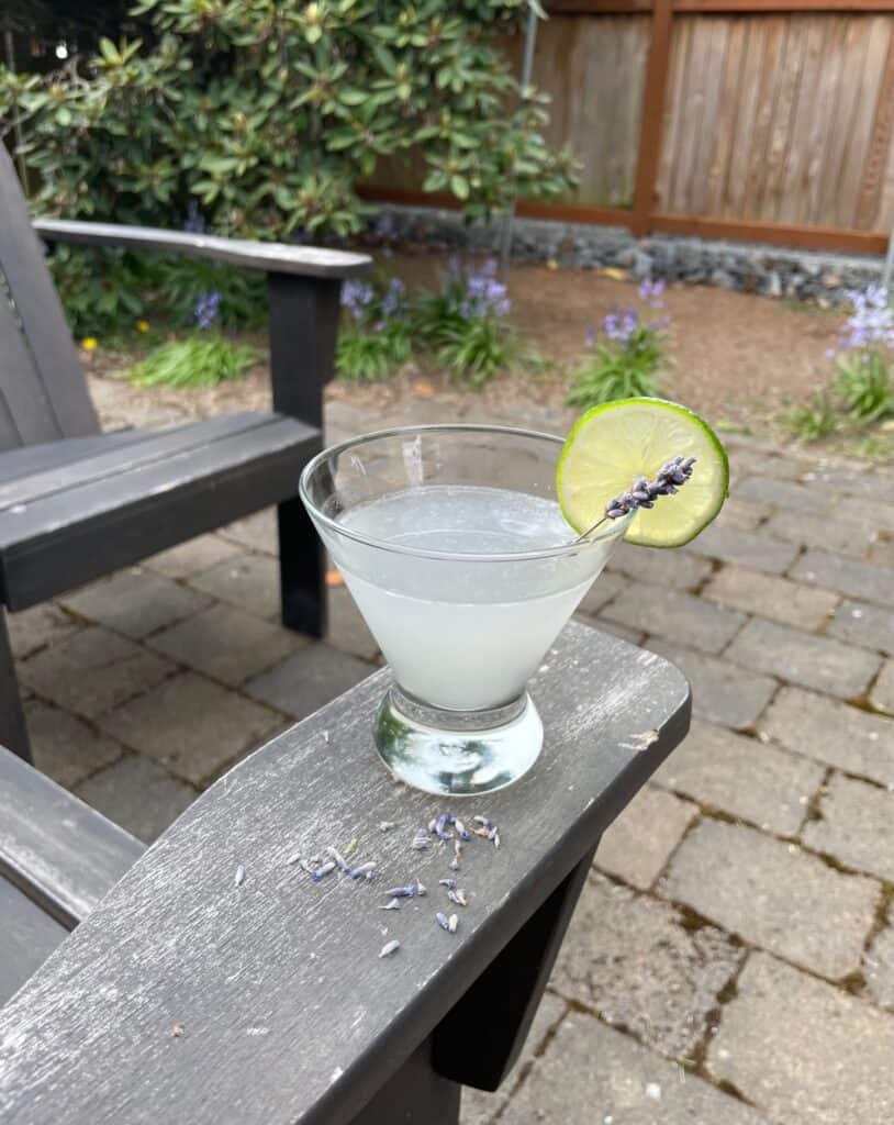 a gimlet garnished with lime wedge and lavender sprig on a backyard patio.