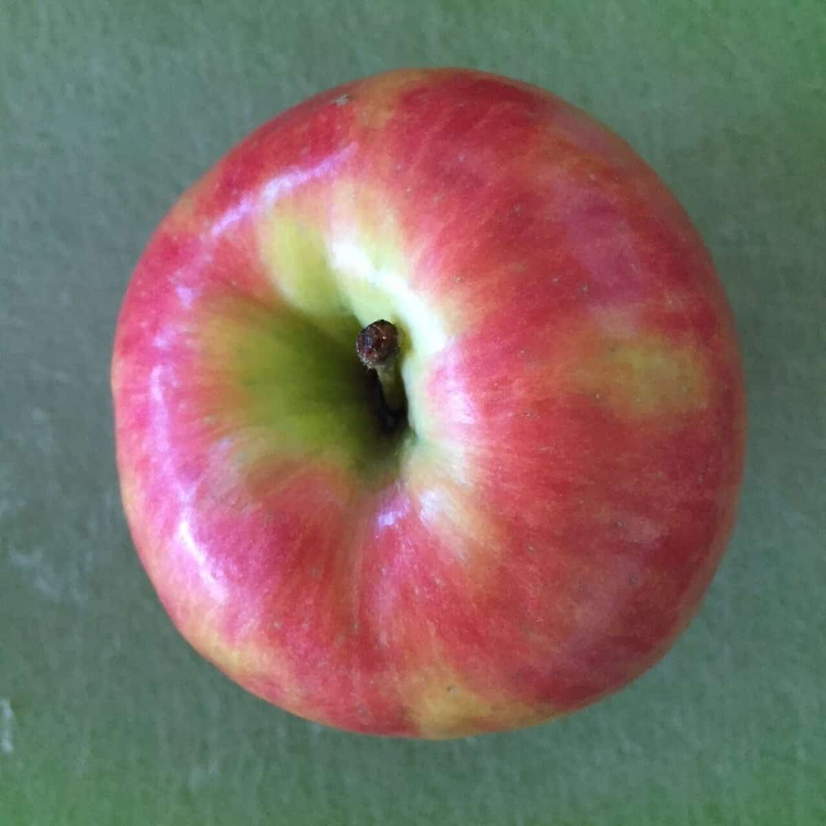 a pink lady apple.