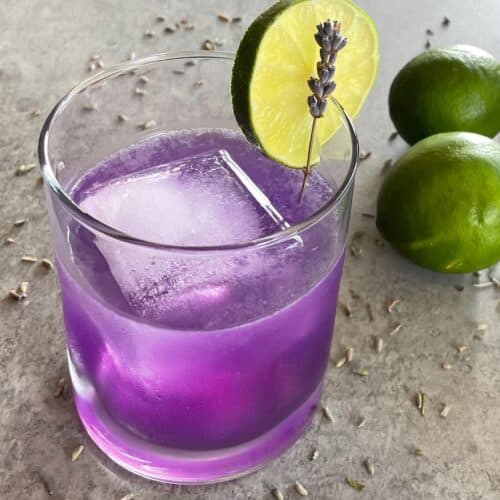 a purple lavender gimlet in a lowball glass garnished with lime and lavender.