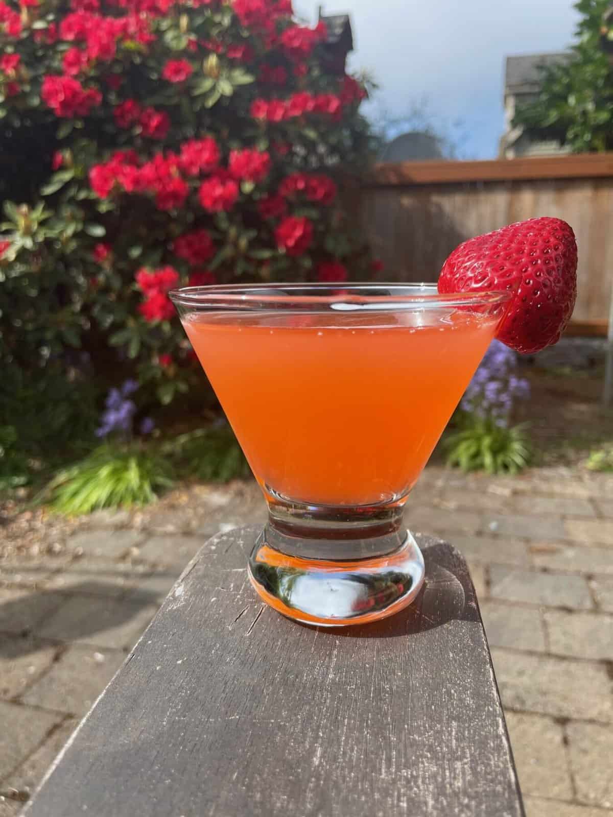 a martini glass with strawbery gimlet and garnished with a strawberry on a chair in a garden