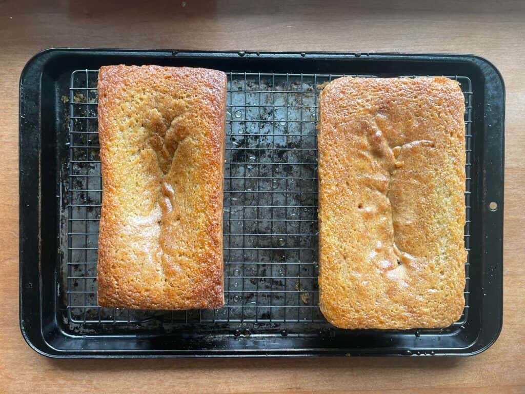 two juniper lime cakes baked in different sized pans.
