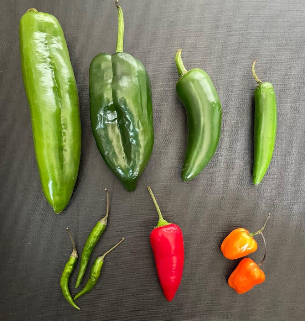 seven different types of chili peppers.