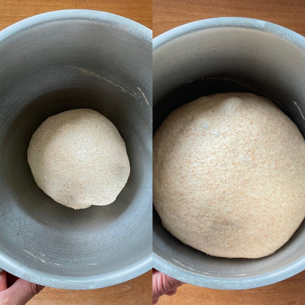 two panels showing honey wheat bread rising in the stand mixer bowl.