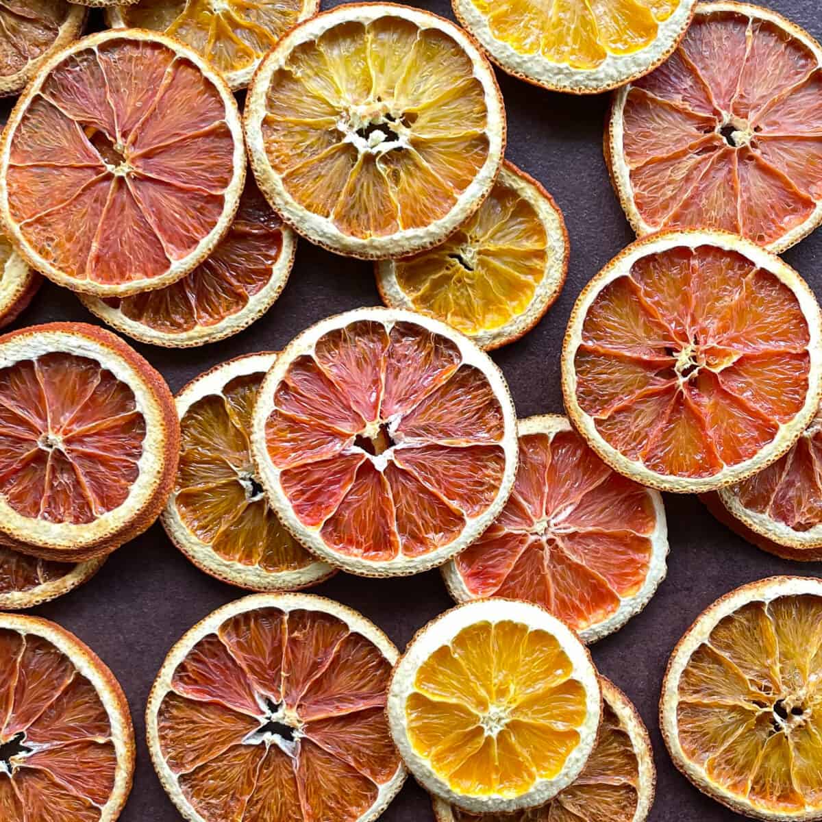 Orange Slices Cocktail Garnish Dried Dehydrated Citrus 