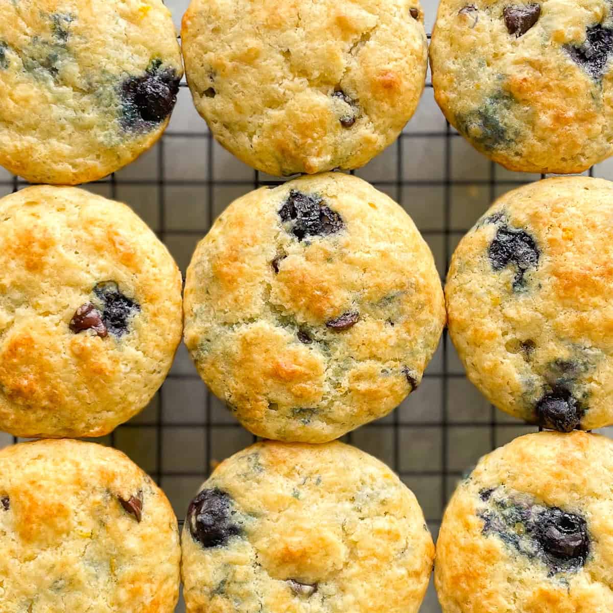 Blueberry Chocolate Chip Muffins