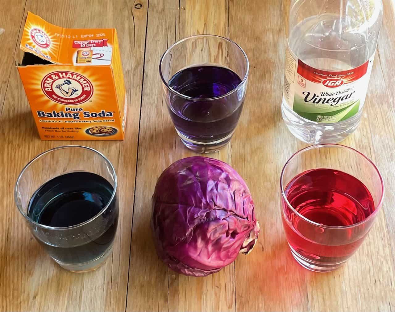 glass of blue cabbage water next to baking soda, glass of purple cabbage water and purple cabbage, and red cabbage water next to vinegar. 