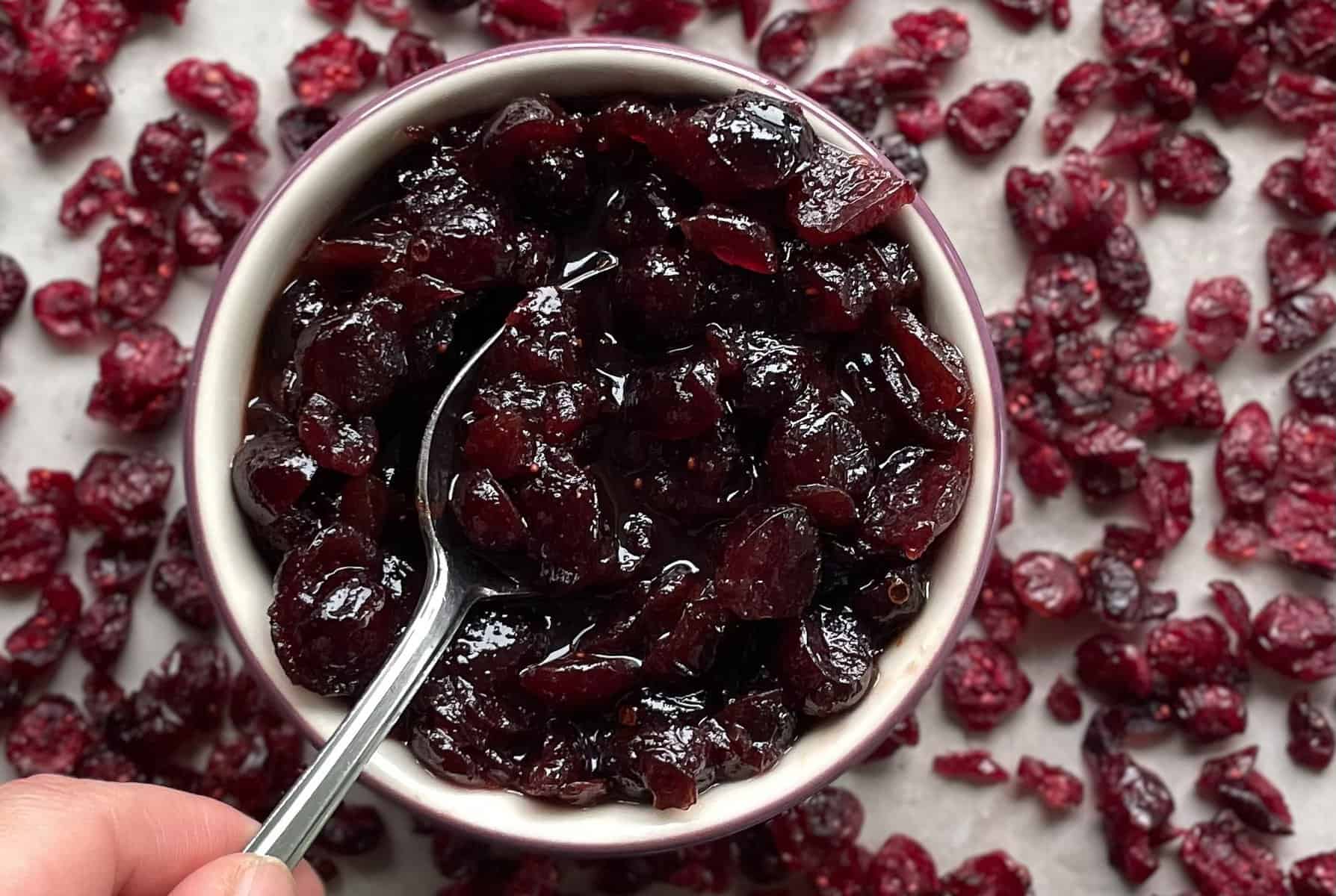 hand holding spoon in cranberry sauce with dried cranberries surrounding the jar.