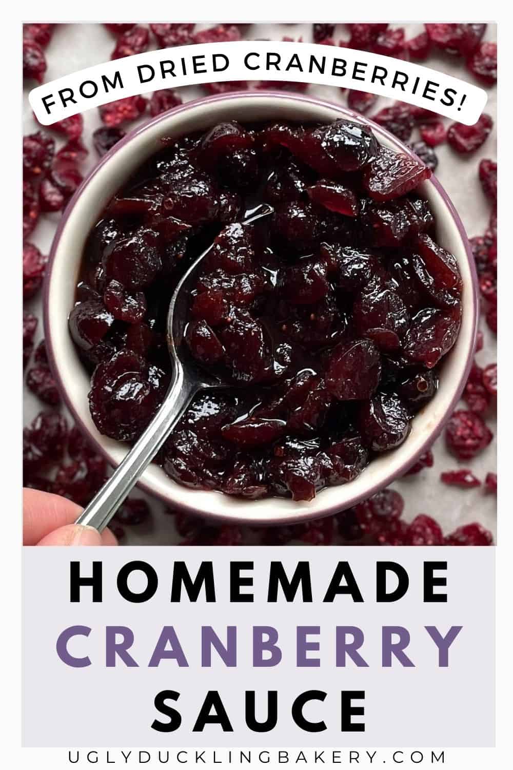 Bowl of Cranberry Sauce from Dried Cranberries with a spoon and surrounded by more craisins. The title reads Homemade Cranberry Sauce from Dried Cranberries.