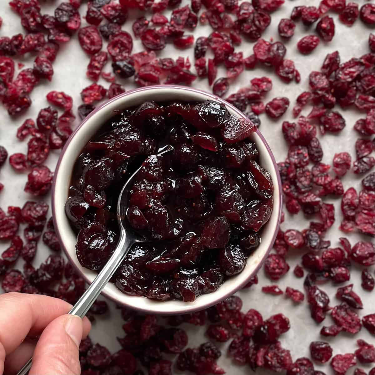 small jar of cranberry sauce and spoon surrounded by dried cranberries.