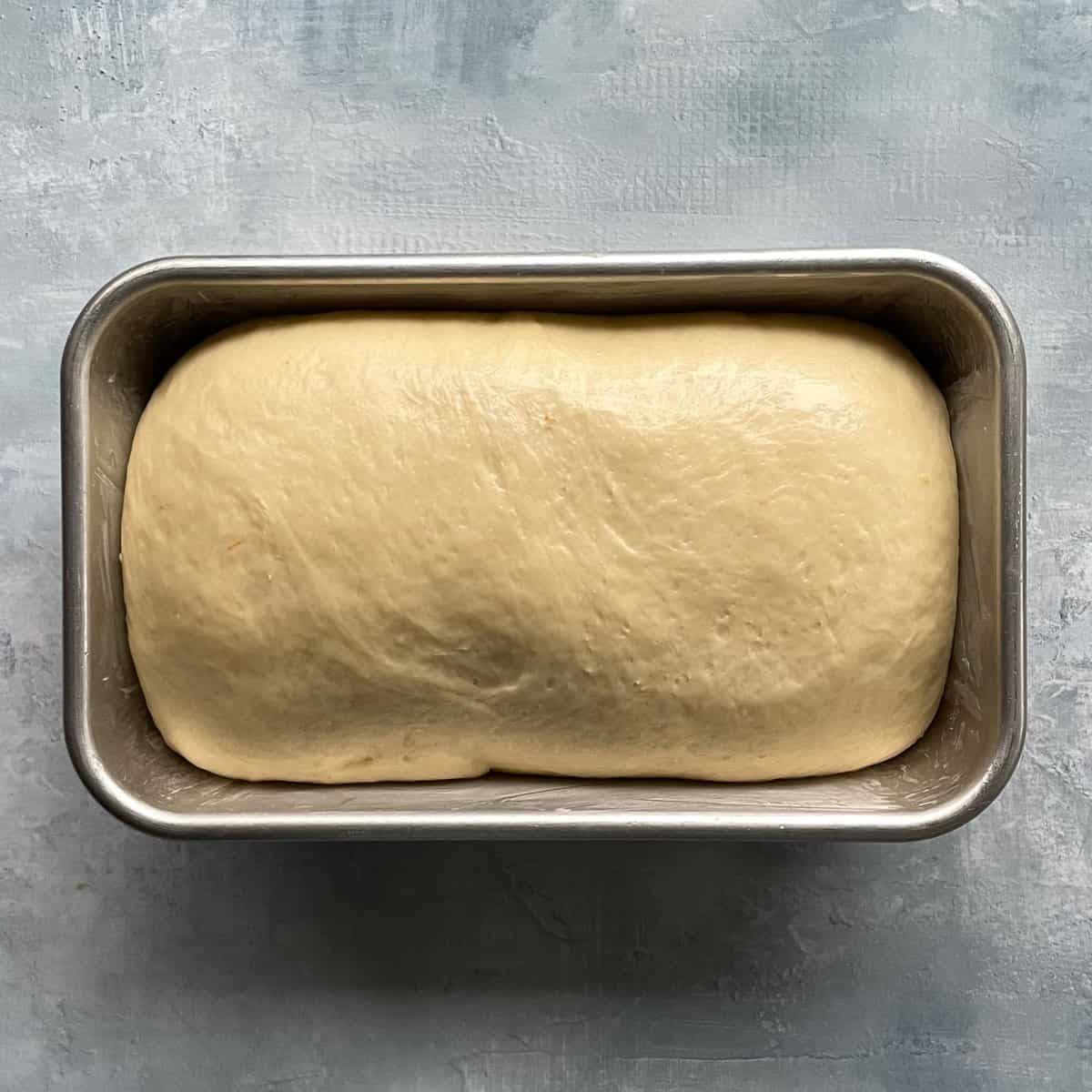 unbaked white bread loaf in the loaf pan after rising.