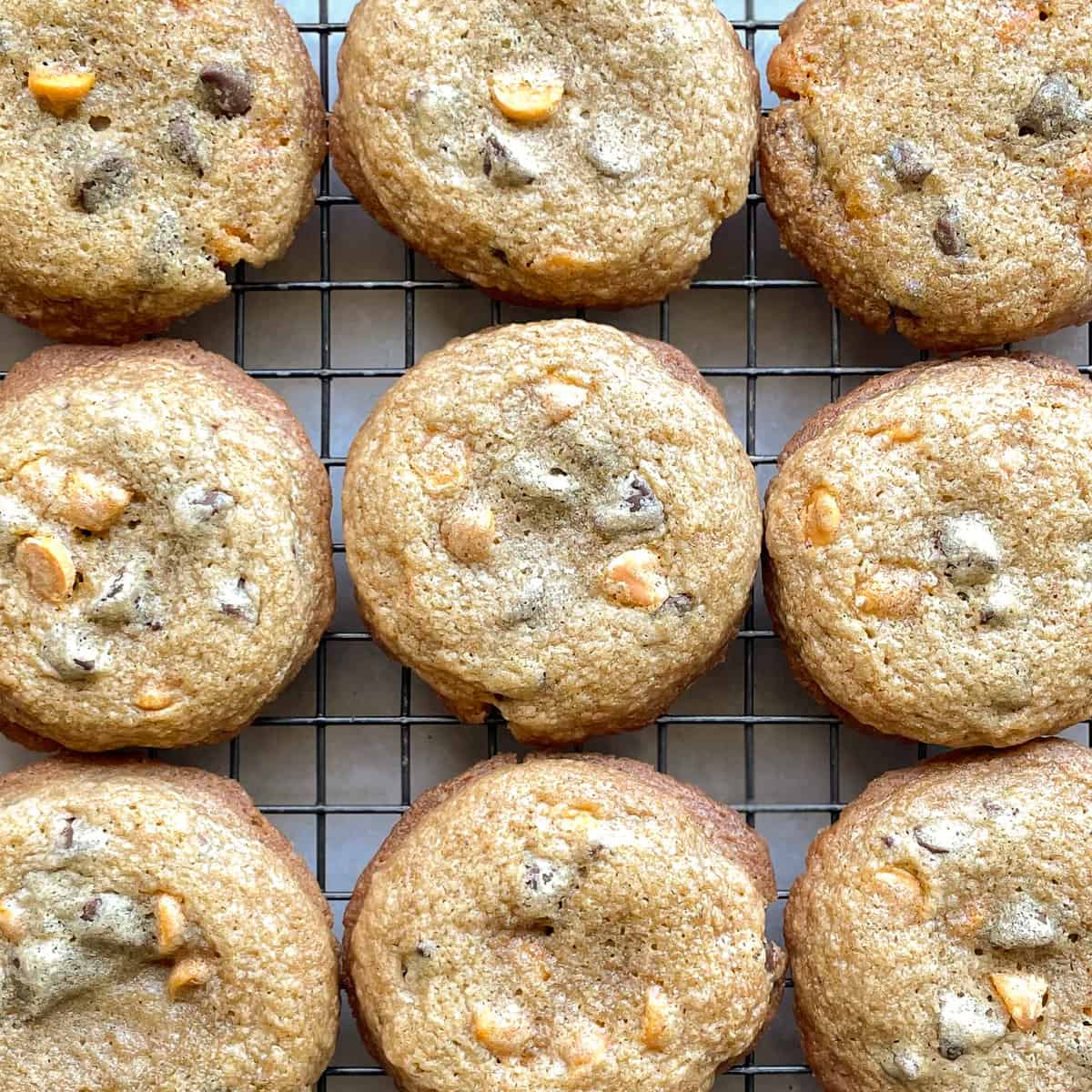 Double Butterscotch Chocolate Chip Cookies