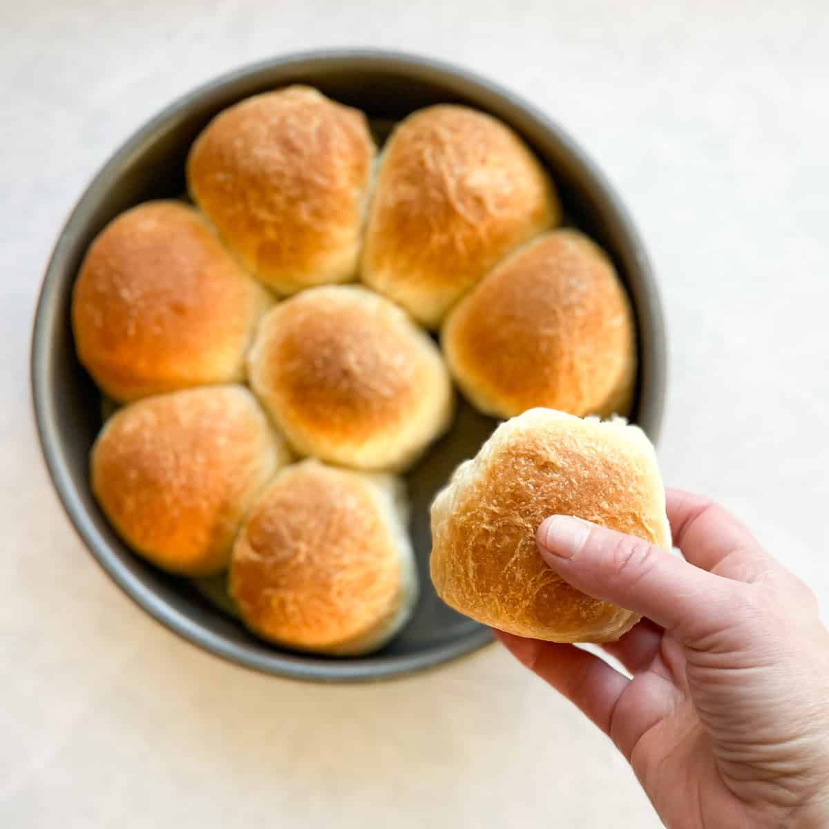 hand holding dinner roll taken from cake pan with seven remaining rolls.