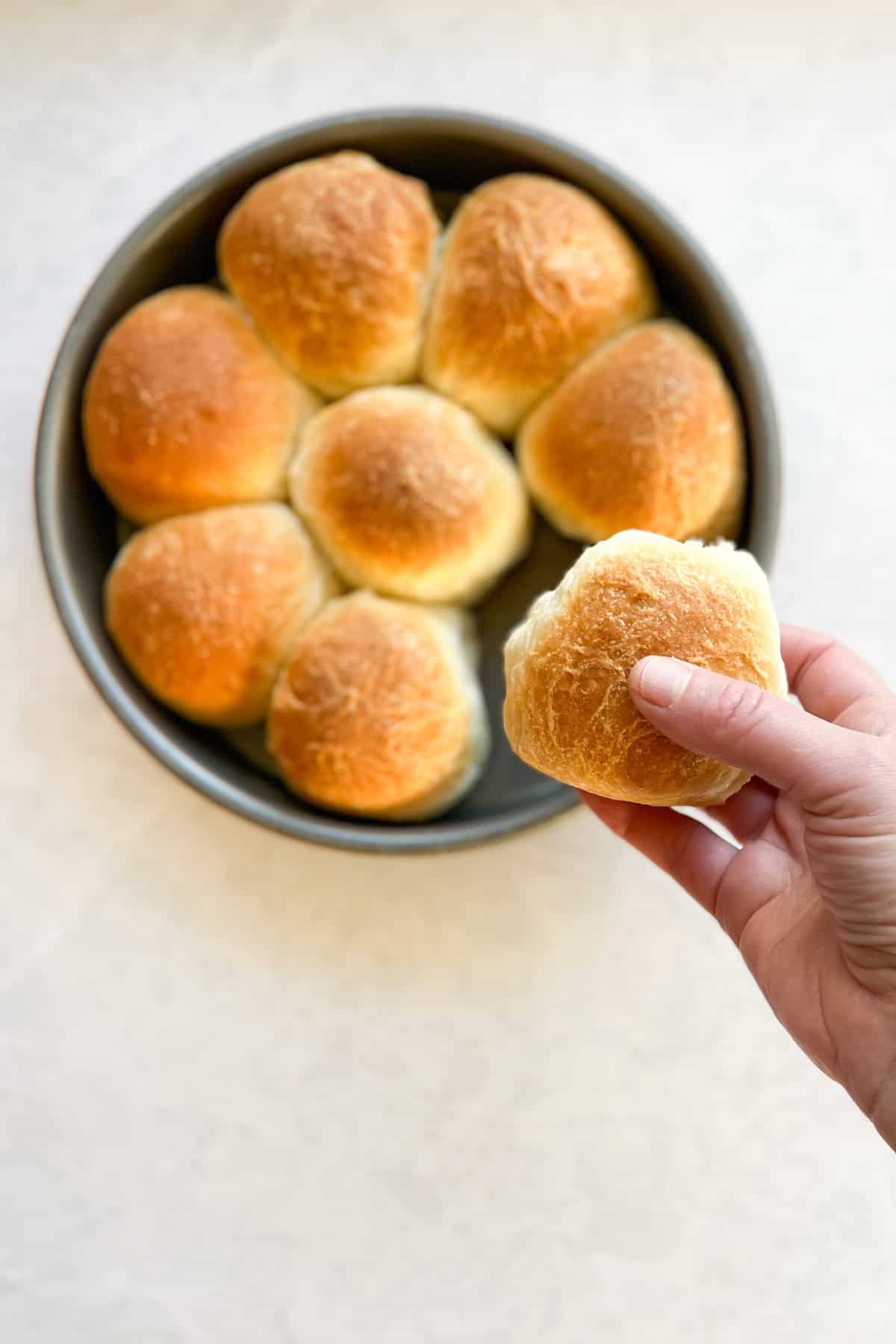 hand holding a golden brown dinner roll about a round cake pan with seven remaining dinner rolls and a gap where the other one was.