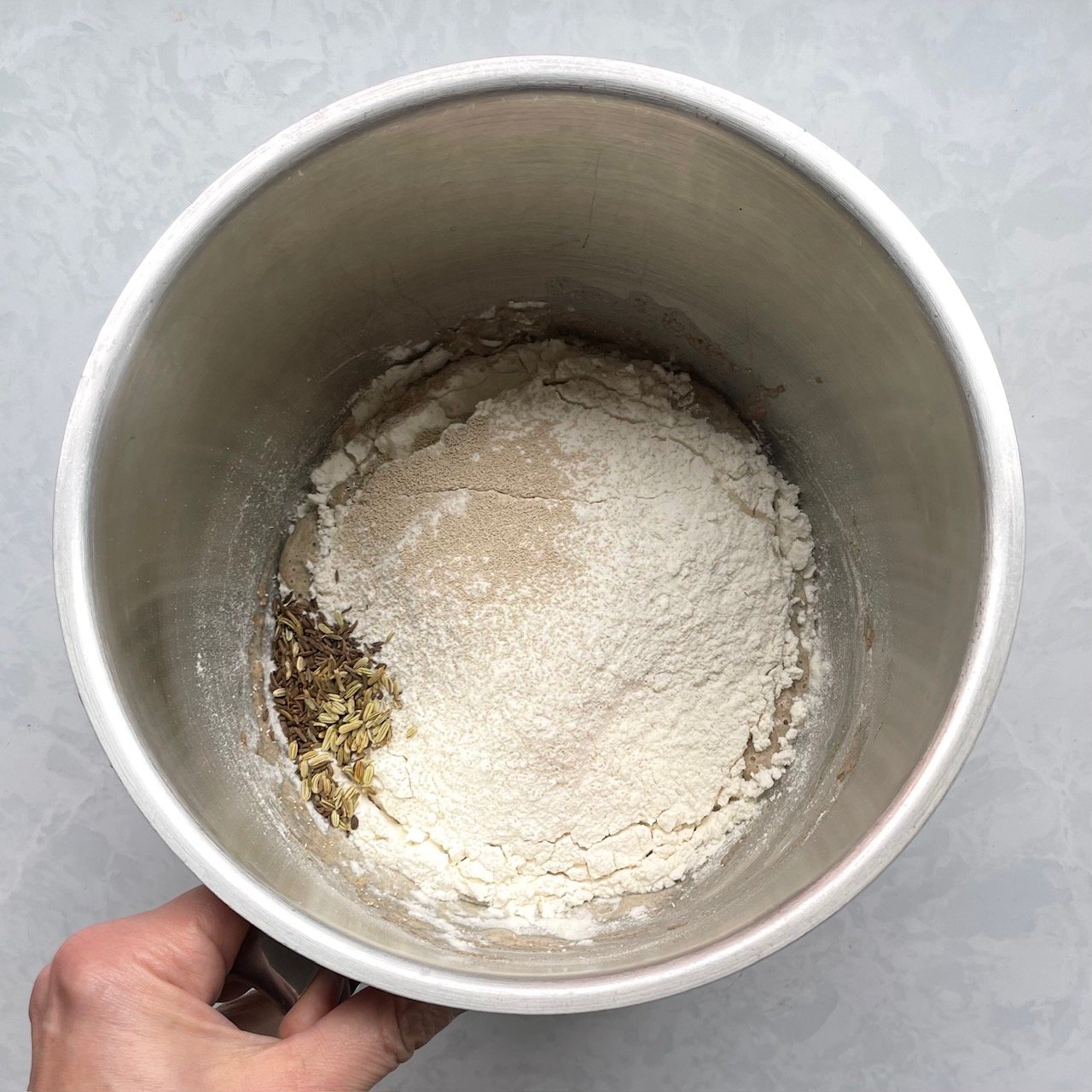 bread sponge bubbling through a layer of flour, yeast, and caraway seeds.