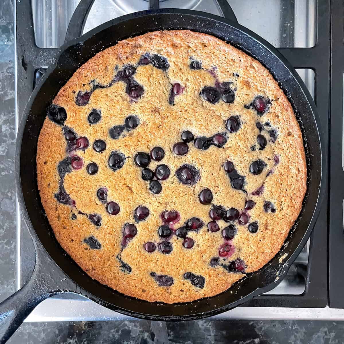 blueberry cake dotted with blueberries in a cast iron skillet on the stove.