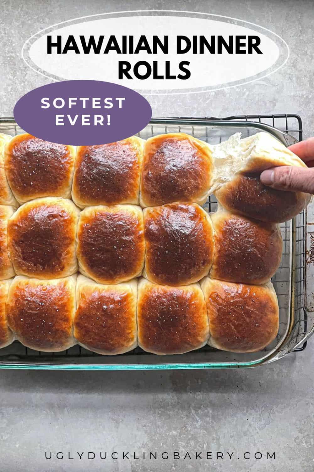 fifteen dinner rolls with one hand pulling away the corner roll. The title says Softest Ever Hawaiian Dinner Rolls and the website ugly duckling bakery dot com is at the bottom.