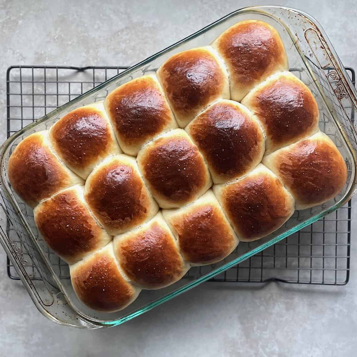 fifteen dinner rolls arranged in neat rows in a glass baking pan on a cooling rack.