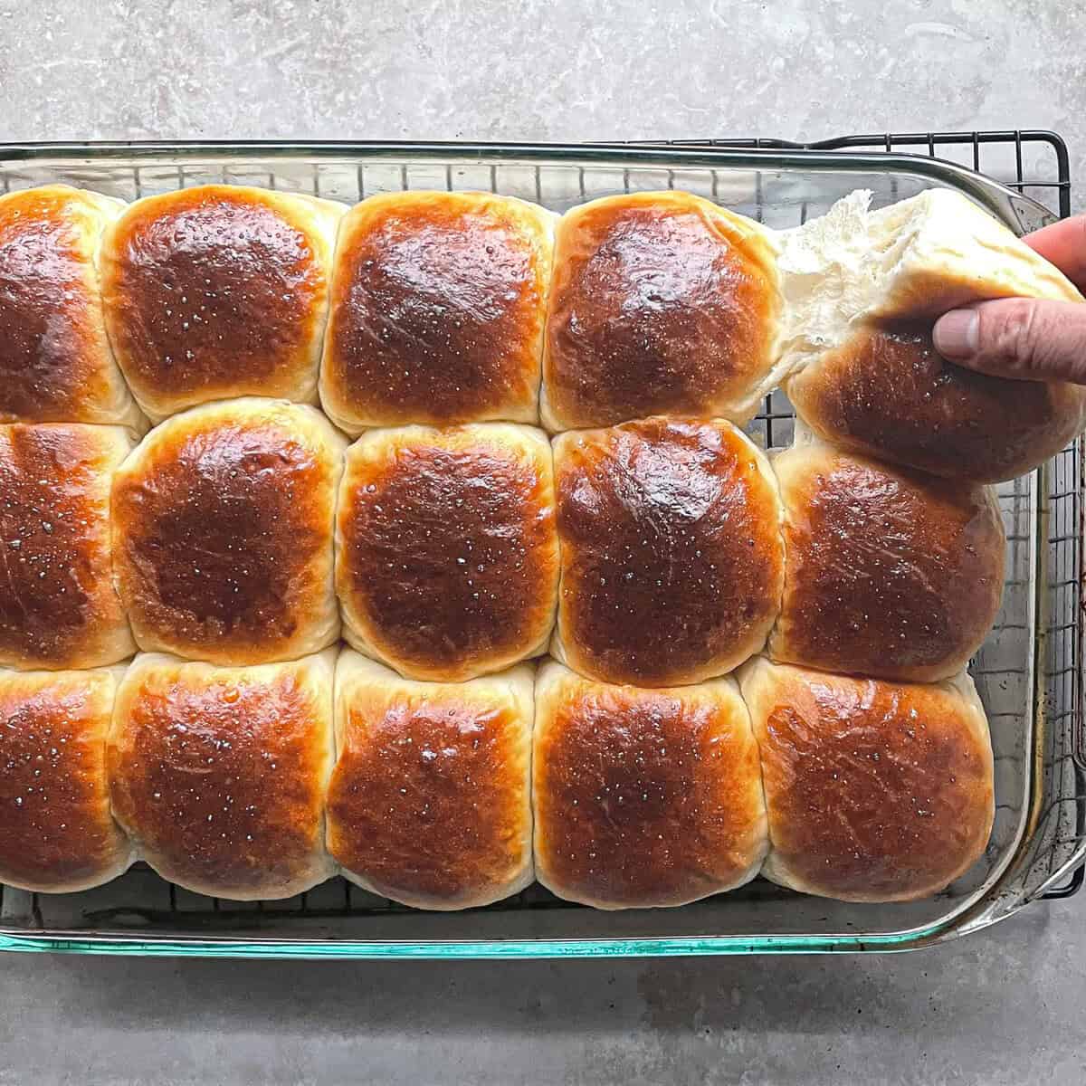 fifteen dinner rolls in a glass pan with a hand pulling away one of the corner rolls.